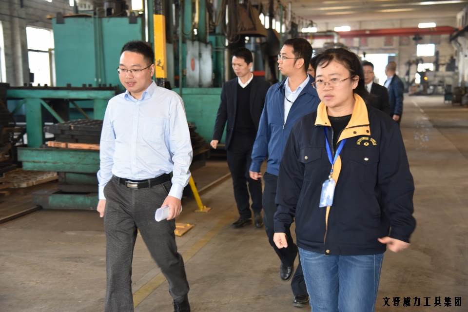 j9九游会平台工具集团“引智强企”企业诊断大会正式启动(图7)